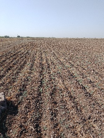 જમીન વેચવાની છે