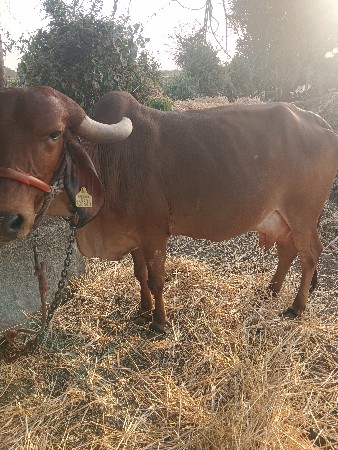 थंबनेल 2