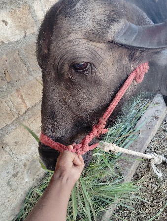 थंबनेल 3