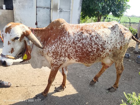 थंबनेल 2