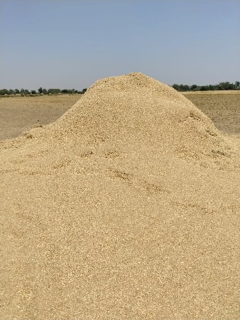 દેશી ચણા નું ખારીયુ વેચવા નું છે