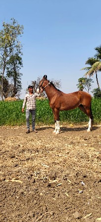 થંબનેલ 2