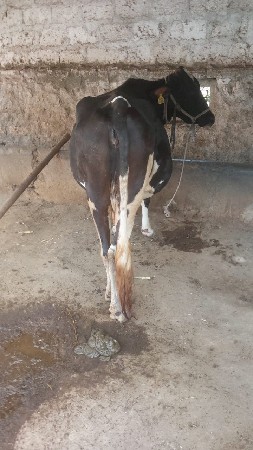 थंबनेल 2