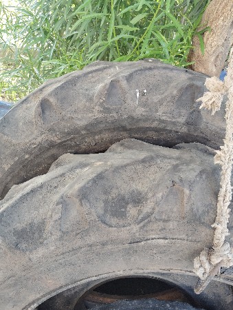 થંબનેલ 3