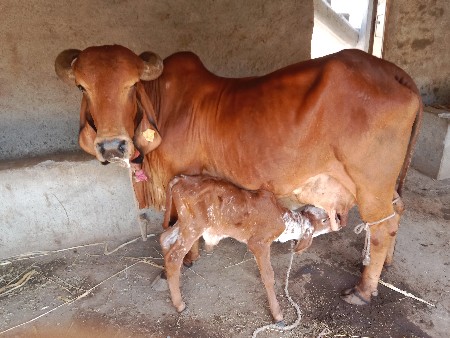 थंबनेल 2