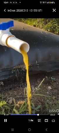 જીવામૃત ઓરગોનિક લિટર   ૨૦
મેસેજકરો