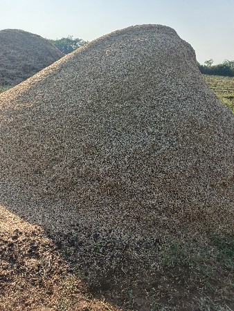 વેચવાનું