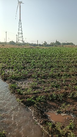 ચનાનુ ખારીયૂ વેચવાનું છે