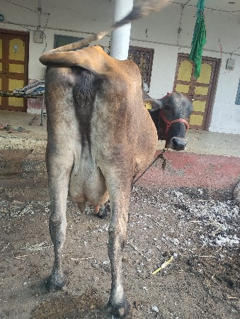 થંબનેલ 2