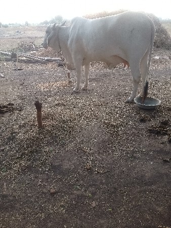 थंबनेल 3