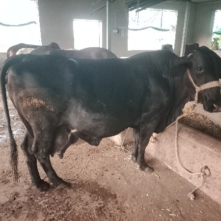 थंबनेल 2