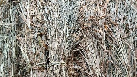 બાજરાના પુરા વેચવાનાછે