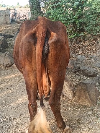 थंबनेल 2