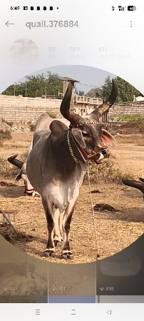 थंबनेल 2