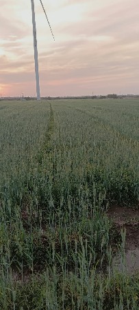 थंबनेल 3