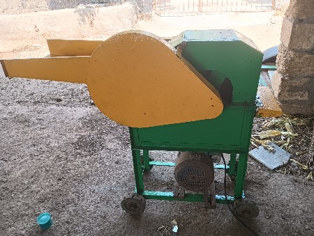 થંબનેલ 2