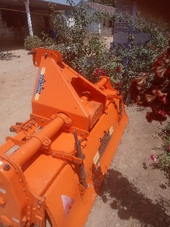 શકતીમાન