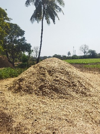 ચણા નુ ખારીયુ