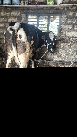 थंबनेल 6