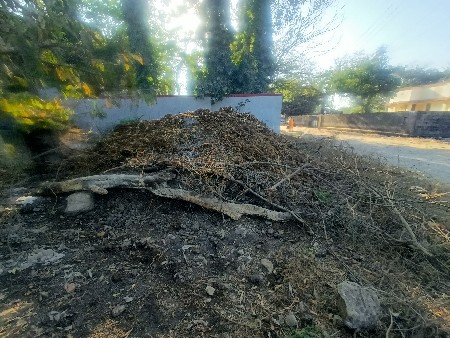 દેશી ગાય નું ખાતર વેચવાનું છે