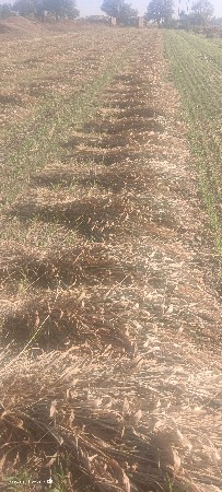 નીરણ વેચવાની સે