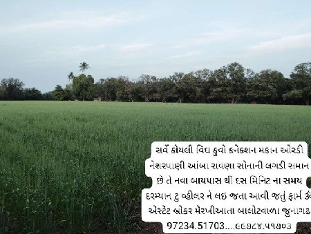 સર્વે કોયલી વિઘા સાડાબાર કુવો