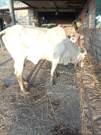 थंबनेल 2