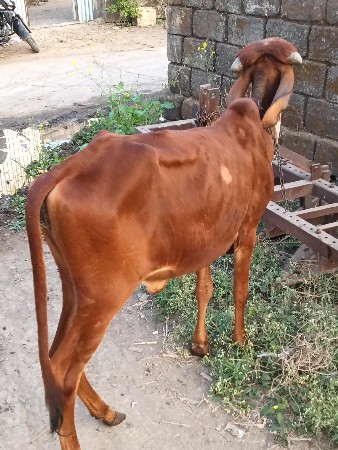 થંબનેલ 2