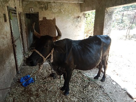 કૌચ.3..વેટર..15.દિવચ.નિ.કાચિ.