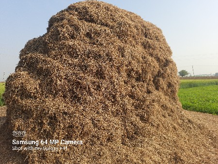 માડવી નો ભૂકો વેચવાનો છે