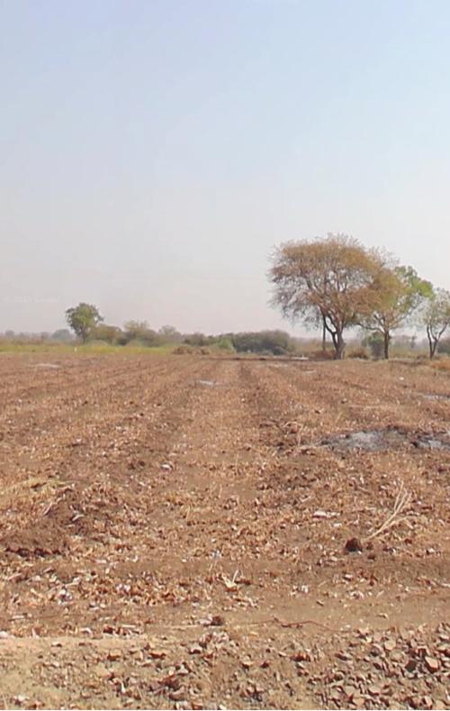 જમીન વેચવાની છે. ૪ વીઘા