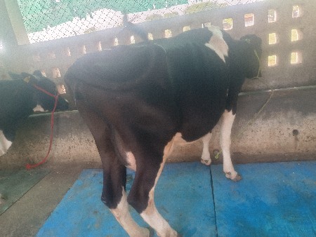 થંબનેલ 2