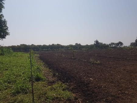 જમીન વેચવાની છે