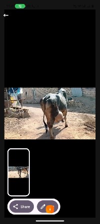 થંબનેલ 6