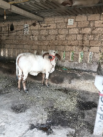 थंबनेल 2