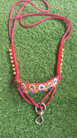 🟡 ગાય માટે રજવાડી મોયડો