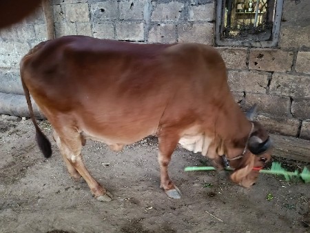 थंबनेल 3