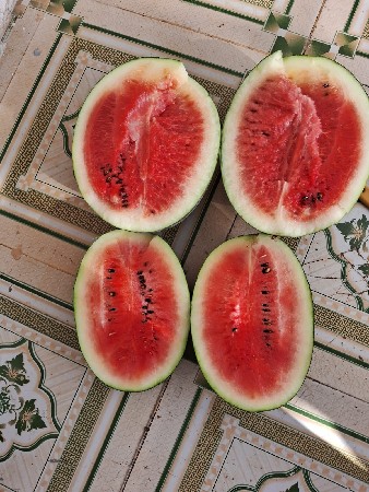 થંબનેલ 3