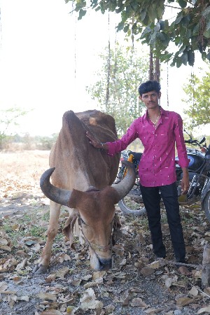 થંબનેલ 2