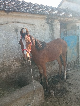 थंबनेल 3