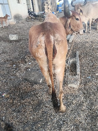 थंबनेल 3