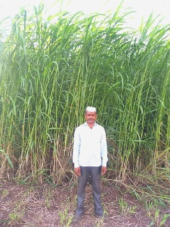 थंबनेल 6