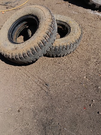 toli na tayae tyub sahit