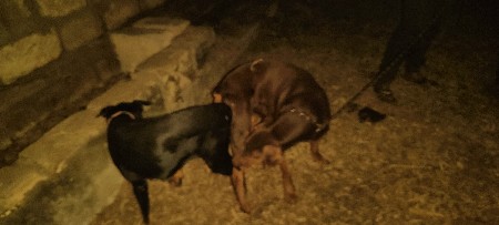 થંબનેલ 3