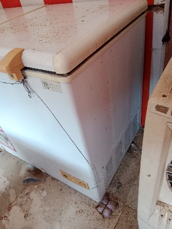 ફ્રીજ વેચવાનું ગુલ્ફીનું