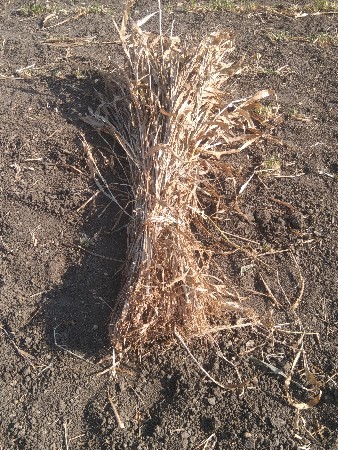 ચૌહાણ પ્રવિણ અરજણભાઈ છે