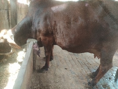 થંબનેલ 3