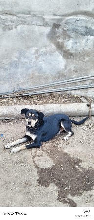 थंबनेल 3