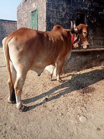 थंबनेल 3