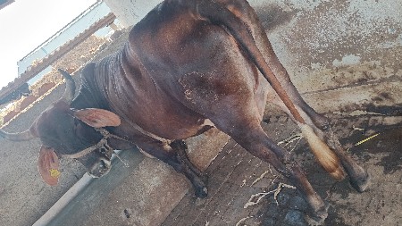 थंबनेल 3